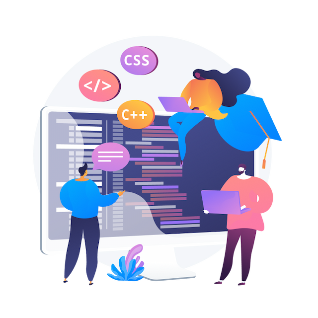 software development